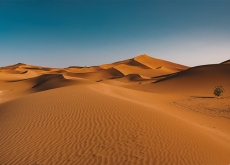 Egypt’s Desert Was Once an Ocean? - Bonus